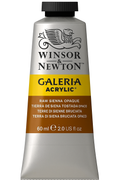 Winsor & Newton Galeria Acrylic Colour - 60ml (Burnt Sienna Opaque)