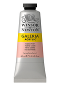 Winsor & Newton Galeria Acrylic Colour – 60ml (Pale Rose Blush)