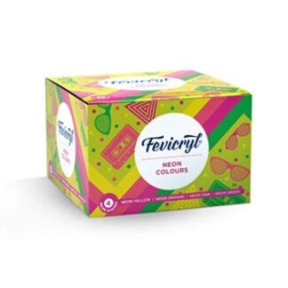 Fevicryl Neon Colours (Set of 4)