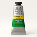 Winsor & Newton Galeria Acrylic Colour - 60ml (Permanent Light Green Verde)