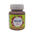 Fevicryl Acrylic Colours 100ml (Burnt Sienna)