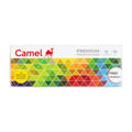 Camel Premium Poster Colours 12 Shades 10ml