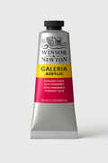 Winsor & Newton Galeria Acrylic Colour - 60ml (Permanent Rose)