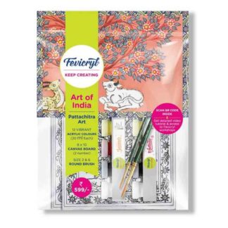 Fevicryl Pattachitra Art Kit